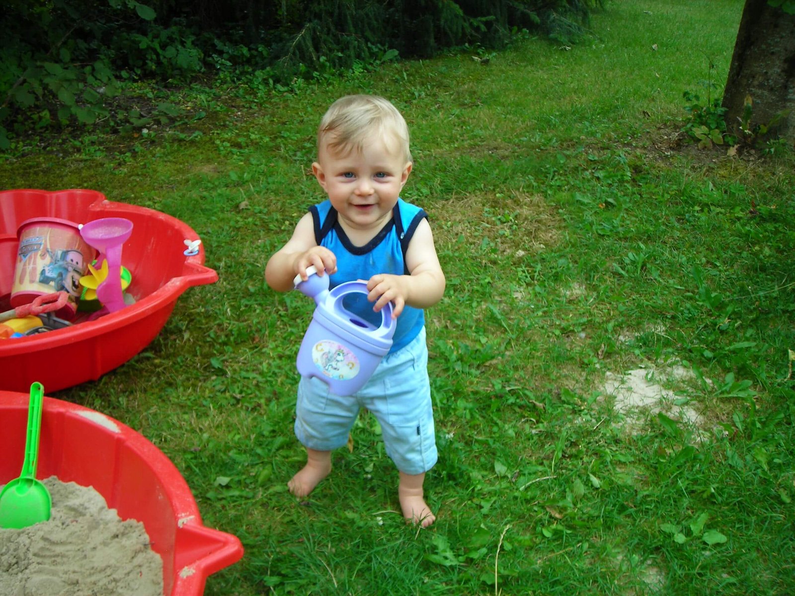 2012 – ...and growing