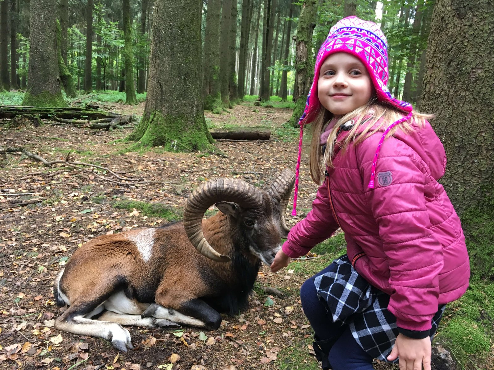 2017 – Naturliebhaber