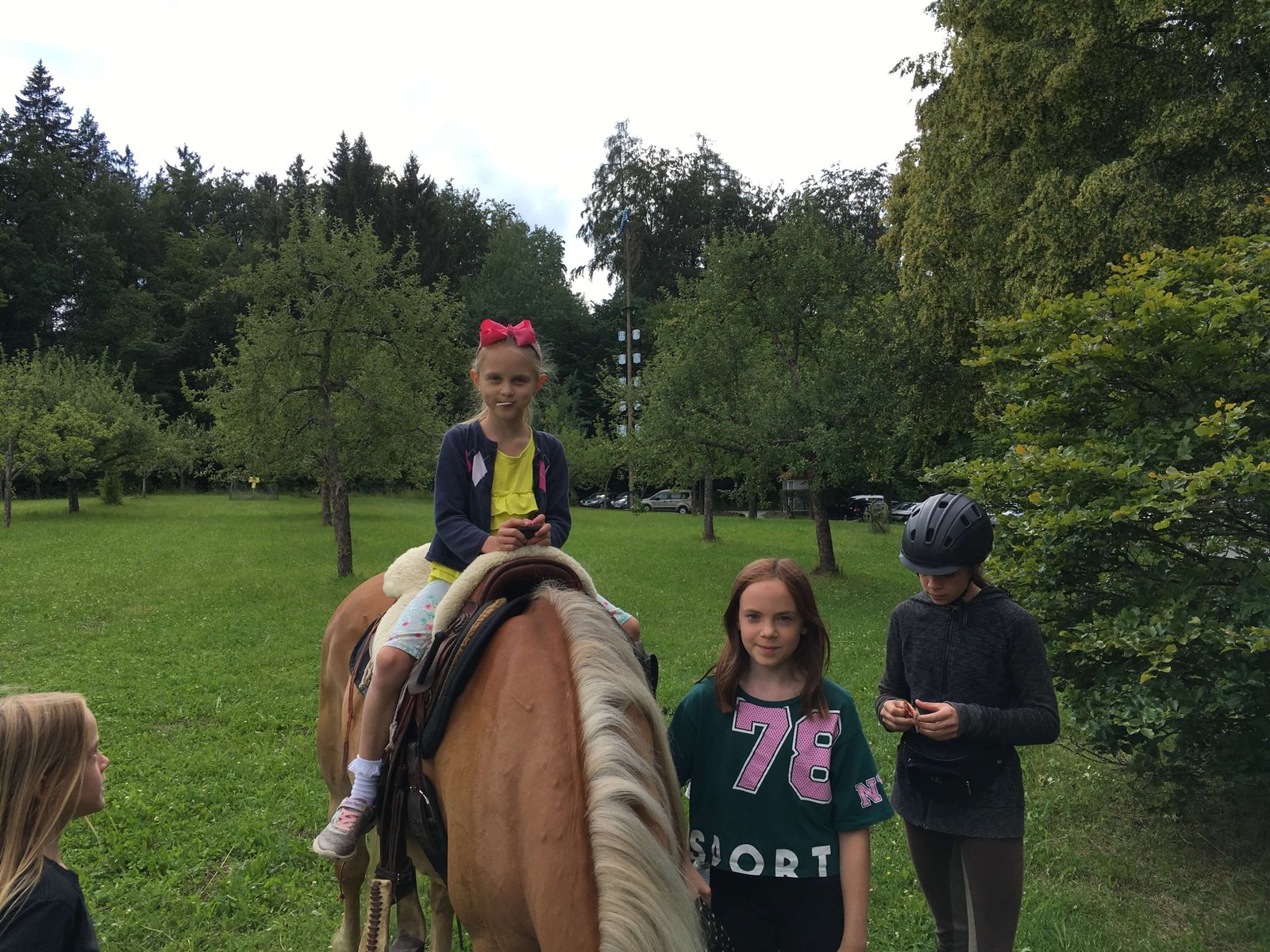 2018 – Unerwartete Begegnung