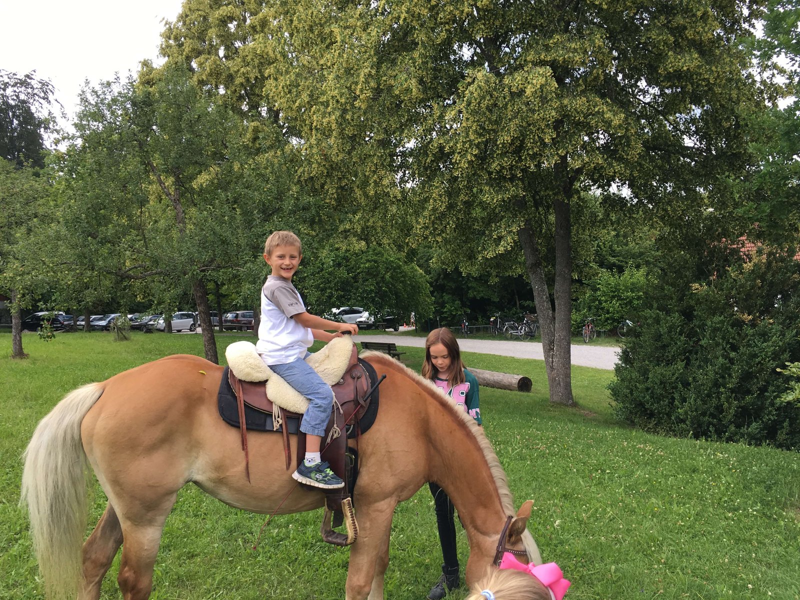 2018 – ..gibt spontane Freude